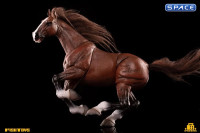 1/12 Scale Basic Horse Version HY-011 (brown)