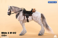 1/12 Scale Basic Horse Version HY-012 (white)