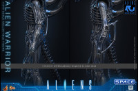 1/6 Scale Alien Warrior Movie Masterpiece MMS898 (Aliens)