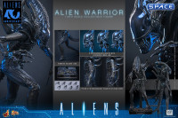 1/6 Scale Alien Warrior Movie Masterpiece MMS898 (Aliens)