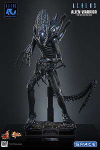 1/6 Scale Alien Warrior Movie Masterpiece MMS898 (Aliens)