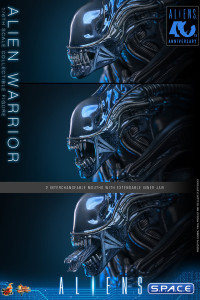 1/6 Scale Alien Warrior Movie Masterpiece MMS898 (Aliens)