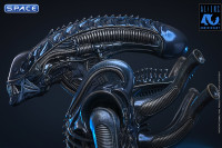 1/6 Scale Alien Warrior Movie Masterpiece MMS898 (Aliens)