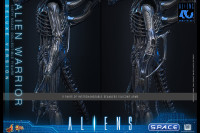 1/6 Scale Alien Warrior Deluxe Version Movie Masterpiece MMS899 (Aliens)