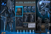 1/6 Scale Alien Warrior Deluxe Version Movie Masterpiece MMS899 (Aliens)