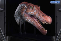 1/2 Scale Spinosaurus Head Replica (Jurassic Park III)