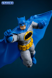 Batman from The Dark Knight Returns (DC Multiverse)