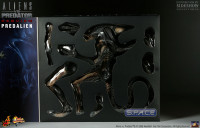1/6 Scale PredAlien Model Kit (Aliens vs. Predator: Requiem)
