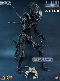 1/6 Scale Alien with Facehugger Model Kit (AvsP: Requiem)