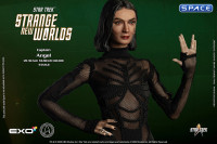 Captain Angel Museum Grade Statue (Star Trek: Strange New Worlds)