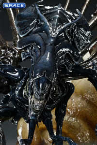 Queen Alien Ultimate Diorama Masterline Statue (Aliens)