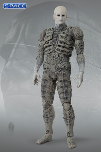1/12 Scale Engineer FigLite (Prometheus)