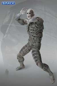 1/12 Scale Engineer FigLite (Prometheus)