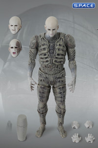 1/12 Scale Engineer FigLite (Prometheus)