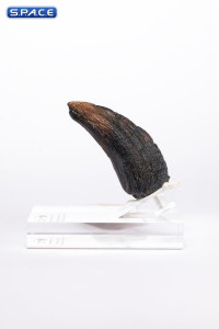 Velociraptor Toenail Type A Prop Replica (Jurassic Park)