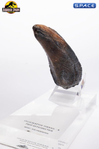 Velociraptor Toenail Type A Prop Replica (Jurassic Park)