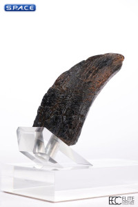Velociraptor Toenail Type A Prop Replica (Jurassic Park)