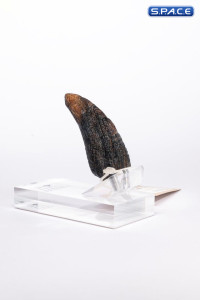 Velociraptor Toenail Type A Prop Replica (Jurassic Park)