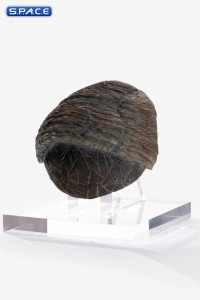 Triceratops Toenail Prop Replica (Jurassic Park)