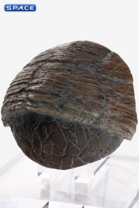 Triceratops Toenail Prop Replica (Jurassic Park)
