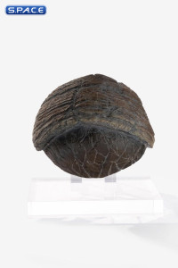 Triceratops Toenail Prop Replica (Jurassic Park)