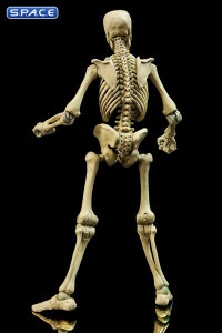 Skeleton Epic H.A.C.K.S. - Classic Bone Version