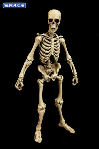 Skeleton Epic H.A.C.K.S. - Classic Bone Version