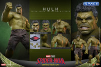 1/6 Scale Hulk Movie Masterpiece MMS905 (Spider-Man: Brand New Day)
