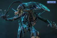 1/6 Scale Alien Queen Movie Masterpiece MMS903 (Aliens)