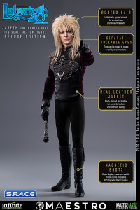 1/6 Scale Jareth the Goblin King Maestro Line - Deluxe Version (Labyrinth)