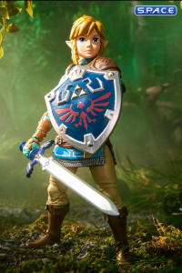 Link (The Legend of Zelda: Tears of the Kingdom)
