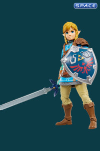 Link (The Legend of Zelda: Tears of the Kingdom)