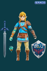 Link (The Legend of Zelda: Tears of the Kingdom)