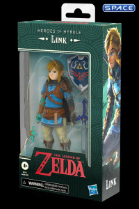 Link (The Legend of Zelda: Tears of the Kingdom)
