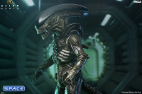 Ultimate Xenomorph (Alien: Earth)