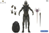 Ultimate Xenomorph (Alien: Earth)
