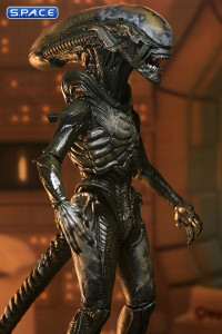 Ultimate Wendys Xenomorph (Alien: Earth)