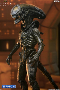 Ultimate Wendys Xenomorph (Alien: Earth)