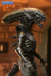 Ultimate Wendys Xenomorph (Alien: Earth)