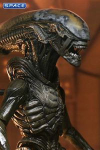 Ultimate Wendys Xenomorph (Alien: Earth)