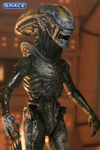 Ultimate Wendys Xenomorph (Alien: Earth)