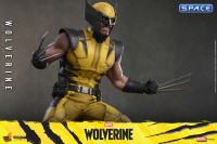 1/6 Scale Wolverine Videogame Masterpiece VGM91 (Marvels Wolverine)