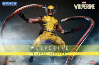 1/6 Scale Wolverine Deluxe Version Videogame Masterpiece VGM92 (Marvels Wolverine)