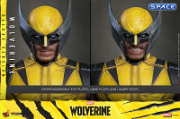 1/6 Scale Wolverine Deluxe Version Videogame Masterpiece VGM92 (Marvels Wolverine)