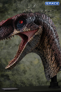 1:1 Male Alpha Velociraptor Blood Knight Life-Size Bust (Jurassic Park III)