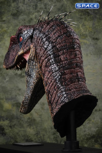 1:1 Male Alpha Velociraptor Blood Knight Life-Size Bust (Jurassic Park III)