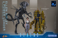 1/6 Scale Ellen Ripley & Power Loader Movie Masterpiece Set MMS923 (Aliens)
