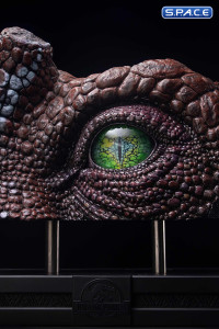 1:1 Spinosaurus Eye Life-Size Replica (Jurassic Park III)