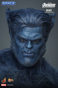 1/6 Scale Beast Movie Masterpiece MMS920 (Avengers: Doomsday)
