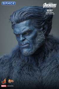 1/6 Scale Beast Deluxe Version Movie Masterpiece MMS921 (Avengers: Doomsday)